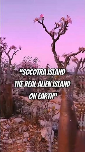 Socotra Island – The Real Alien Island on Earth.
