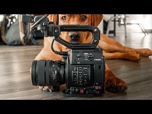 The C200 And It's 5 FLAWS