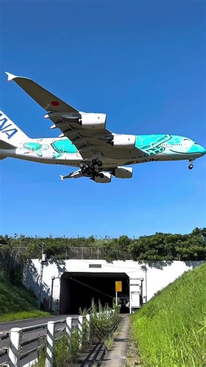 ANA A380 Flying Honu Turtle Livery – Insane Low Approach & Touchdown! 🐢✈️