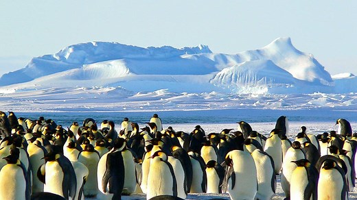 Interesting Careers That Combine Biology and Mathematics