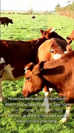 Heartland Then vs Now — 18 Years of Transformation