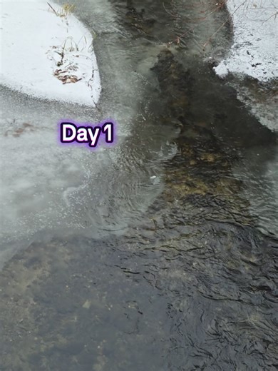 Frozen Stream in Austria #froze #freezing #austria #österreich🇦🇹 #snowfalling