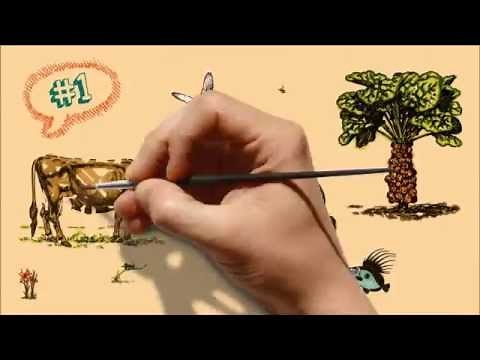 Darwin y la evolución