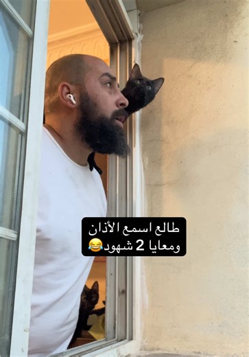 ‏القطط شاهدة🤣 #قطط #قطط_الهمشري #الهمشري #cat #catsoftiktok