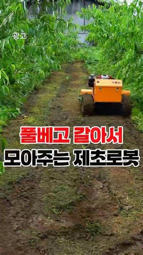 Remote-Controlled Weed Trimming Robot