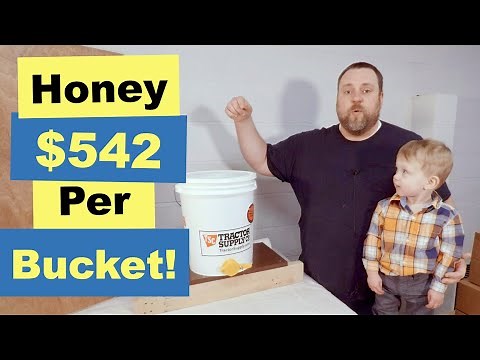 🐝Training Day | Bottling a Bucket of Honey