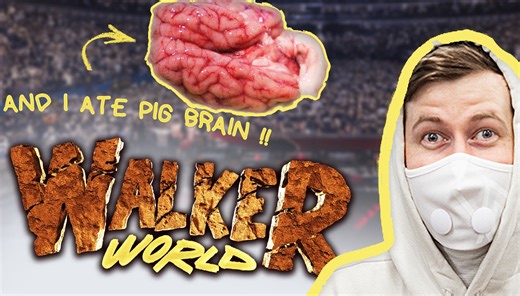 【Alan Walker 2023中国巡演】WalkerWorld 中国巡演 Vlog