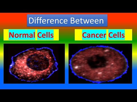 Difference between Normal Cell and Cancer Cell