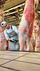 Wagyu is a premium breed of cattle from Japan, known globally for its intense marbling, tenderness, and rich buttery flavor. The word “Wagyu” (和牛) literally means Japanese cow — “wa” (和) meaning Japanese, and “gyu” (牛) meaning cow. #butcher #rome #italiano #japan #foodlover #OFW #pinoy #reelsfypシ | Webster David