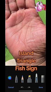 180K views · 1.2K reactions | Island on hand Fish sign on hand Triangle in hand #palmistry #palmist #yousafpalmist #fish #island #triangle | Yousaf Palmist | Facebook