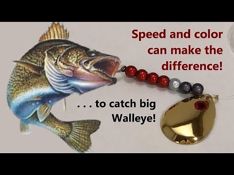 Walleye Fishing with Worm Harness - How To + Trolling Setup