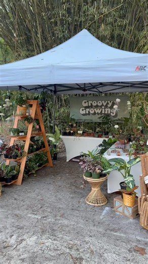 Can you believe these plants didn't find a new home?! #groovygrowing