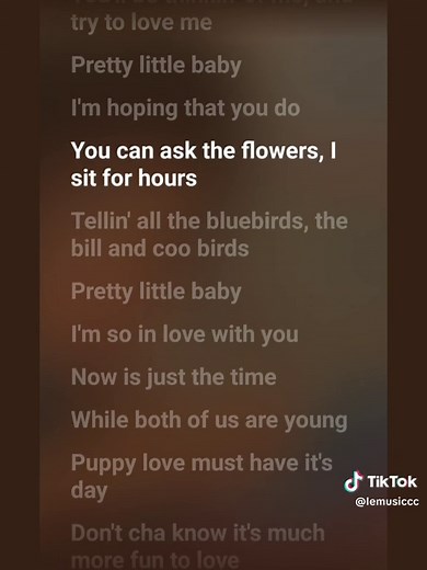 Pretty Little Baby | Song by Connie Francis #prettylittlebaby #musixmatch #fypage