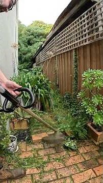 🔴 Overgrown weeds are Growing everywhere! 😲