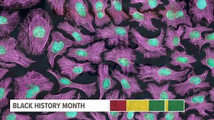 Virginia native Henrietta Lacks is widely known today as the woman whose immortalized cell line contributed to major medical breakthroughs. While she was suffering from cervical cancer, doctors freely took her cells and discovered that her cell line that could reproduce indefinitely -- a first in the scientific community. Her cells were dubbed HeLa cells. #blackhistorymonth #blackhistory #shareblackstories✊🏾 https://bit.ly/3d5WDoD | 13News Now - WVEC