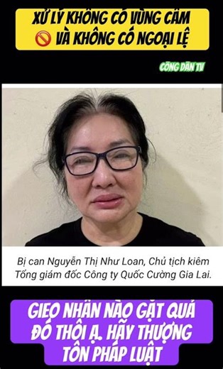 The Chairman of Quoc Cuong Gia Lai has paid 100 billion VND and 4 plots of land worth 281 billion...