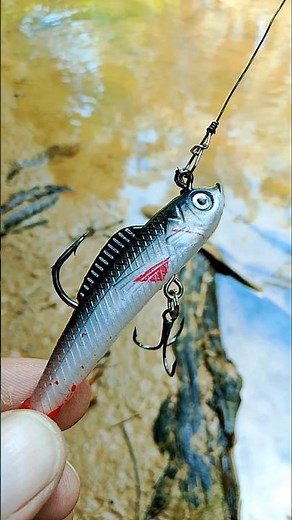 How to properly set up fishing lure #fishing #lure #lurefishing #tips