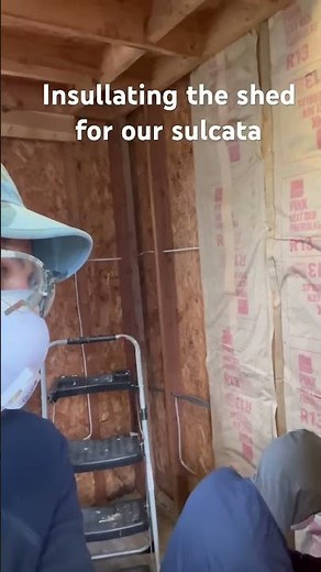 Insulating Our Shed to Winterize Our Sulcata Tortoise Archie 🐢❄️