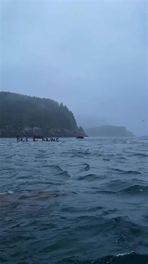 Understanding Nature's Spirits in Colors of the Wind