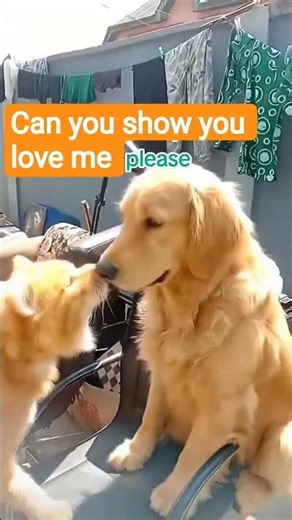 can you show me I will appreciate