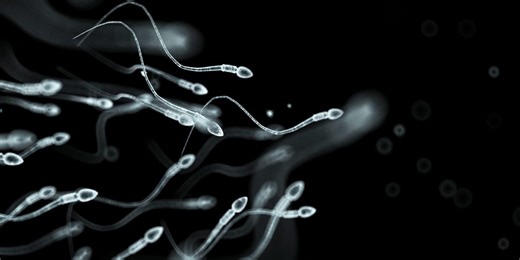 Human Sperm Seem to Defy the Laws of Physics, and Scientists Finally Know Why
