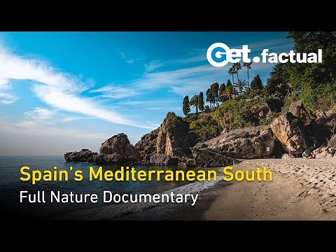 Spain's Mediterranean South | Wild Spain | Full Nature Documentary