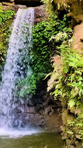 Exploring West Yangoru: A Glimpse into East Sepik