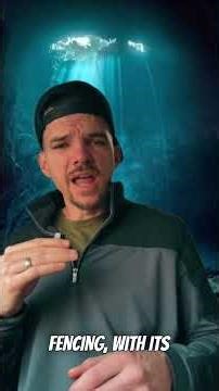 This is a Sad Story #PrincetonWV