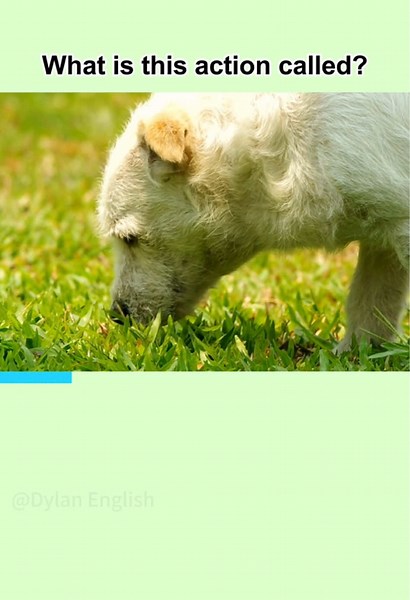 Master English Vocabulary: Daily Learning Tips