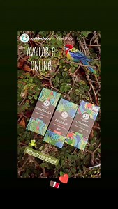 Chocolate Tree on Reels