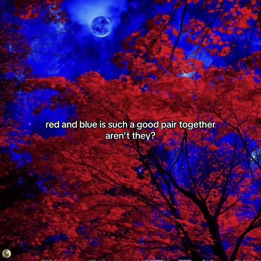 Ninjago: Kai & Jay's Friendship Moments