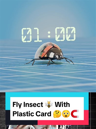 Mind-Blowing Physics with Sigma Teacher