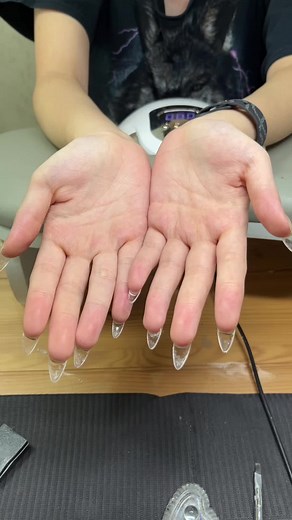 levi ackerman’s wife (real) on TikTok