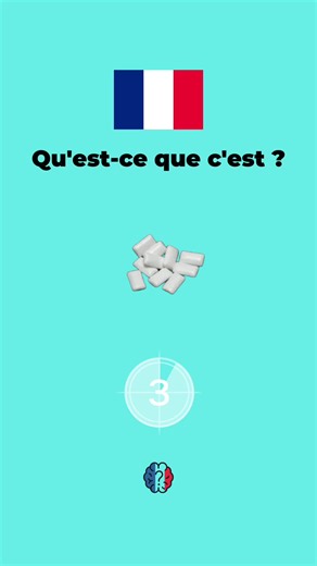 French Vocabulary: Essential Words to Learn in French