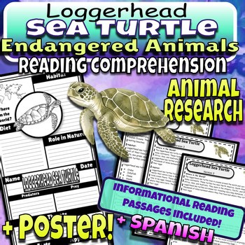 Endangered Animals - Loggerhead Sea Turtle Reading Comprehension & Research