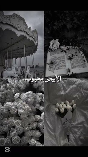 مجرد فكرة / فكـ@Tweets_basemـرتي..🤍 تاخذ لفكرة = منشن #butifyouclose #mu #memes #2026 #mu #buti