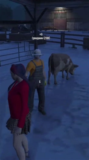 Гражданочка что произошло GTA 5 RP
