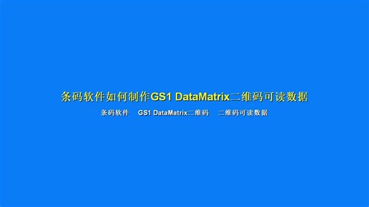 条码软件如何制作GS1 DataMatrix二维码可读数据