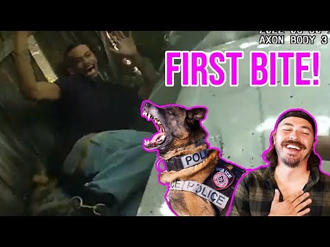 Bork Bork Gets His FIRST Nom Nom!