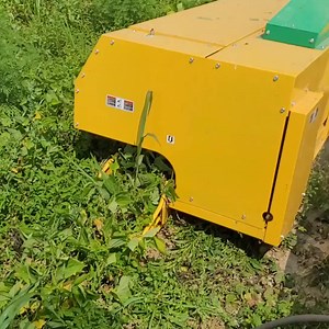 515K views · 283 reactions | Green bean harvester in action. | Wilson Farm Market | Facebook