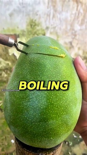 Put you finger down if you've ever burnt your mouth by eating something extremely hot #shorts #funny