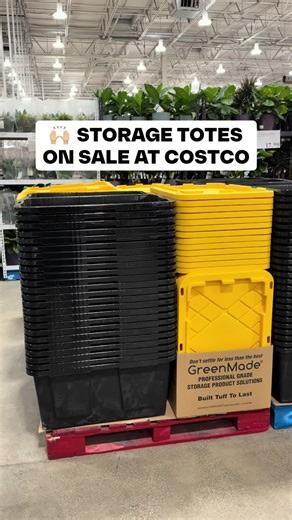 🗄️ These GreenMade 27-Gallon Storage Totes are on sale NOW through 2/1! Such a practical Costco grab if you’re in organization mode 👀 Super sturdy with locking lids and a generous size that actually holds bulky items without cracking or warping 🙌🏼 Great for garage storage, seasonal decor, or moving projects where you want something durable and stackable 👍🏻 ($7.99 through 2/1) #costco #costcofinds #organizationfinds
