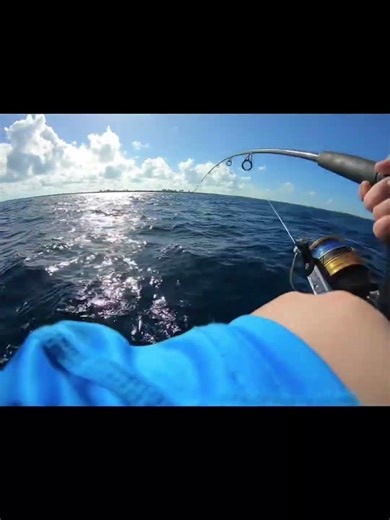 What do you guys think of the intro? #hunting #outdoors #fishing #hunting #trapping #smallyoutuber