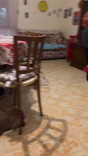 Mary Carmen on Reels