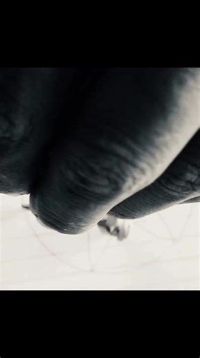 How to draw a flower in circle