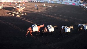 63 reactions · 14 shares | You'll see many amazing feats by mules at the Bishop Mule Days Celebration - and tickets are still available for the weekend shows. Don't delay - we hope to see you there! https://muledays.org | Visit Bishop | Facebook