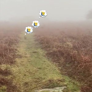 160 reactions · 14 shares | Does your dog choose YOU… …or the...