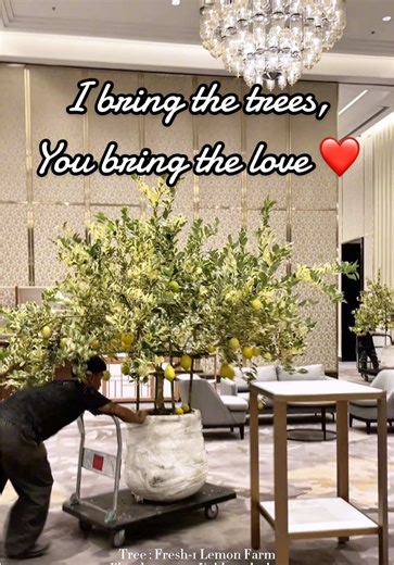 Lemon Trees and True Love: A Perfect Pairing