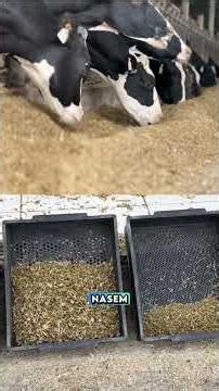 Still calculating diets in spreadsheets?