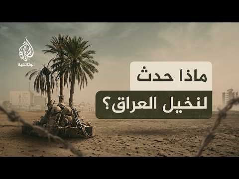ألف نخلة ونخلة.. من قطع رؤوس 20 مليون نخلة في العراق؟